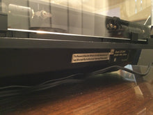Dual 1241 Turntable, Just About Mint, Shure M91ED Cartridge, New Lid, Serviced, Watch Video!