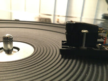 Dual 1241 Turntable, Just About Mint, Shure M91ED Cartridge, New Lid, Serviced, Watch Video!